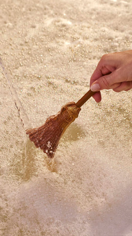 Elphaba's Broomstick