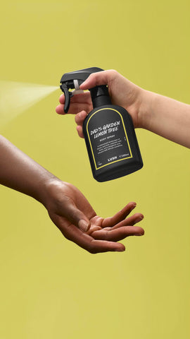 Dad's Garden Lemon Tree