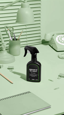 Guardian of The Forest