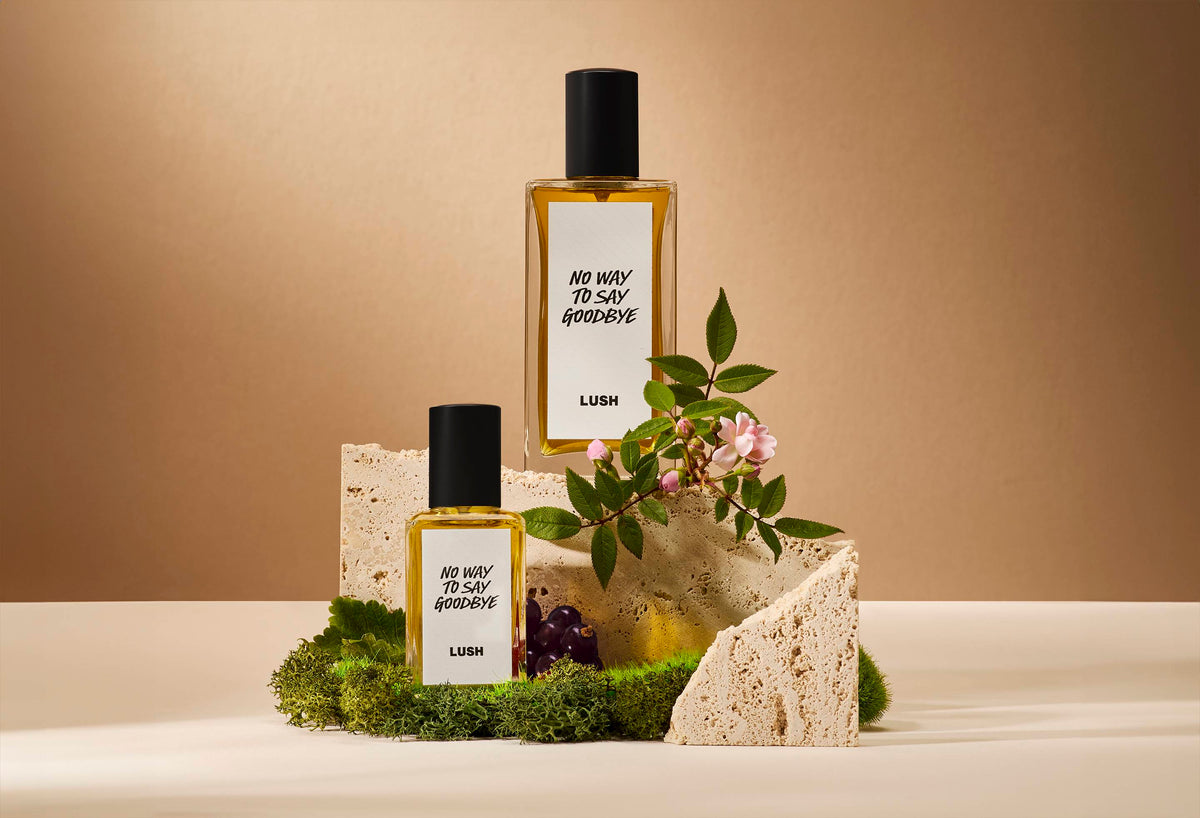 No Way to Say Goodbye