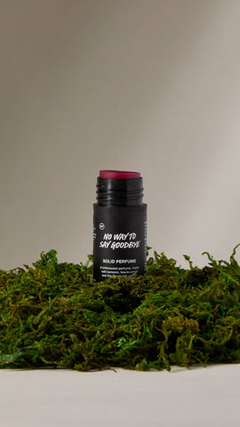 No Way To Say Goodbye