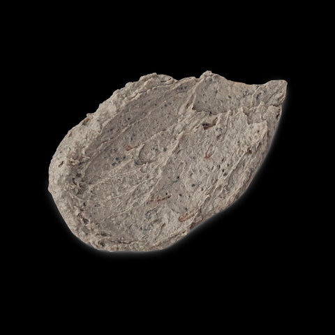 Persephone's Pomegranate